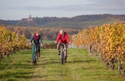 Radfahren im Zabergäu